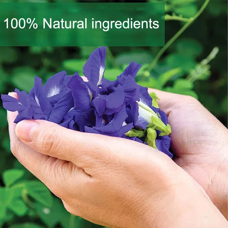 Pure Natural Butterfly Pea Flower Pyramid Tea Bags, Dried Blue Pea Flower, Help Relieve Eye Fatigue & Refresh Your Mind, 30 bags